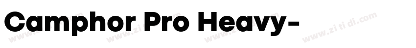 Camphor Pro Heavy字体转换